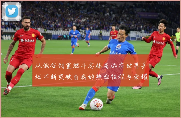 从低谷到重燃斗志林高远在世界乒坛不断突破自我的热血征程与荣耀梦想解析