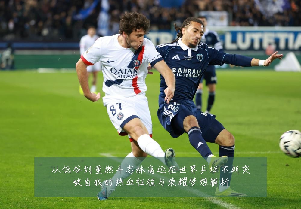 从低谷到重燃斗志林高远在世界乒坛不断突破自我的热血征程与荣耀梦想解析